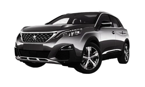 Peugeot Özel Servis